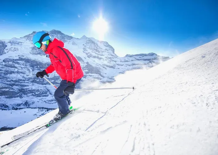 Allod Park Haus C E03 By Interhome Apartman Davos